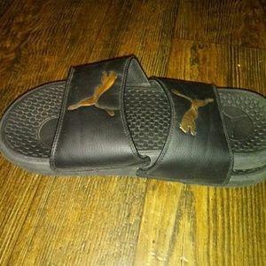 Puma slides